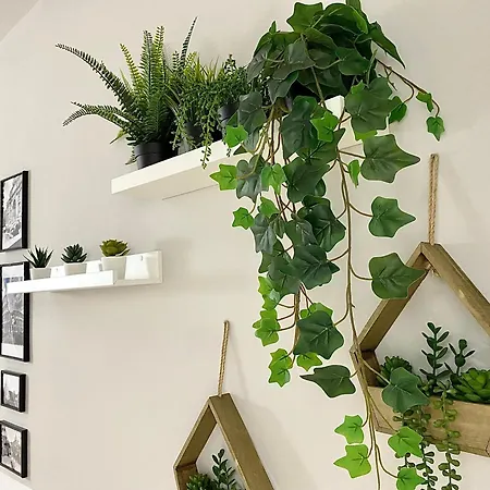 Capuanshome-intero *