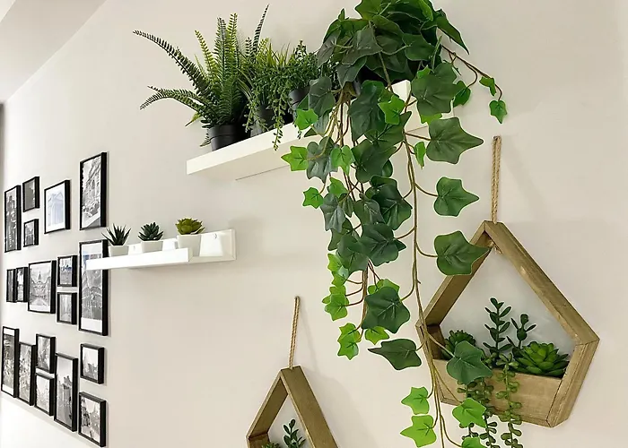 Capuanshome-intero *